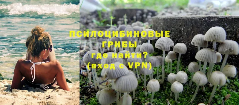 Псилоцибиновые грибы Cubensis  OMG зеркало  Киренск 